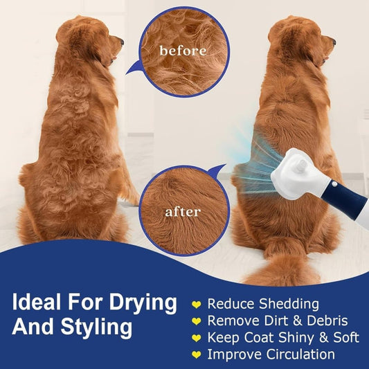 Pet Hair Dryer 3-in-1 with Brush for Dogs and Cats, Portable Quiet, 3 Heat Settings Overheat Protection, Pink V1188-MS-325-0848