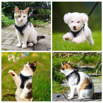 Reflective Adjustable Dog and Cat Harness with Leash, Soft and Secure Fit, XS, Black V1188-MS-325-0880