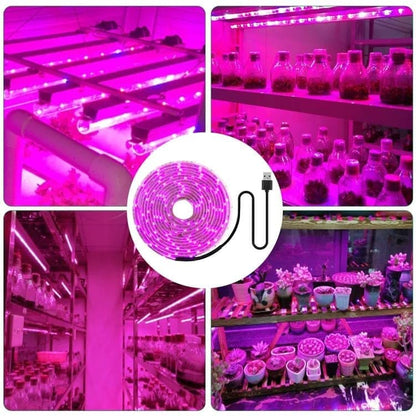 USB LED Grow Light Full Spectrum for Small Plants and Greenhouse, 2M, Compatible with USB V1188-MS-325-0896