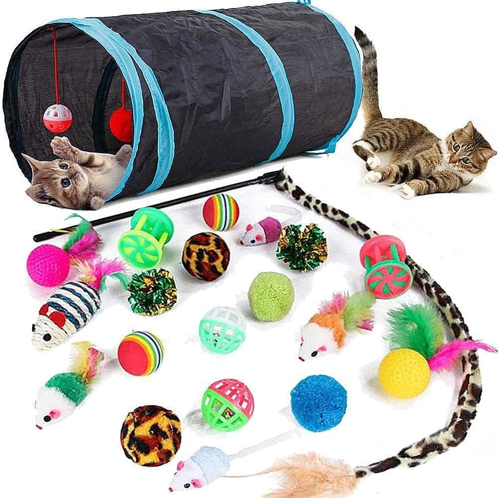 21 Piece Cat Toys for Kittens and Cats V1188-MS-325-0910
