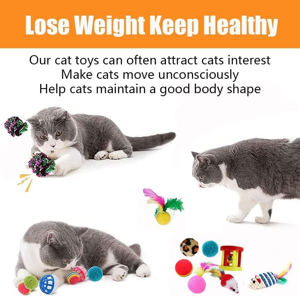 21 Piece Cat Toys for Kittens and Cats V1188-MS-325-0910