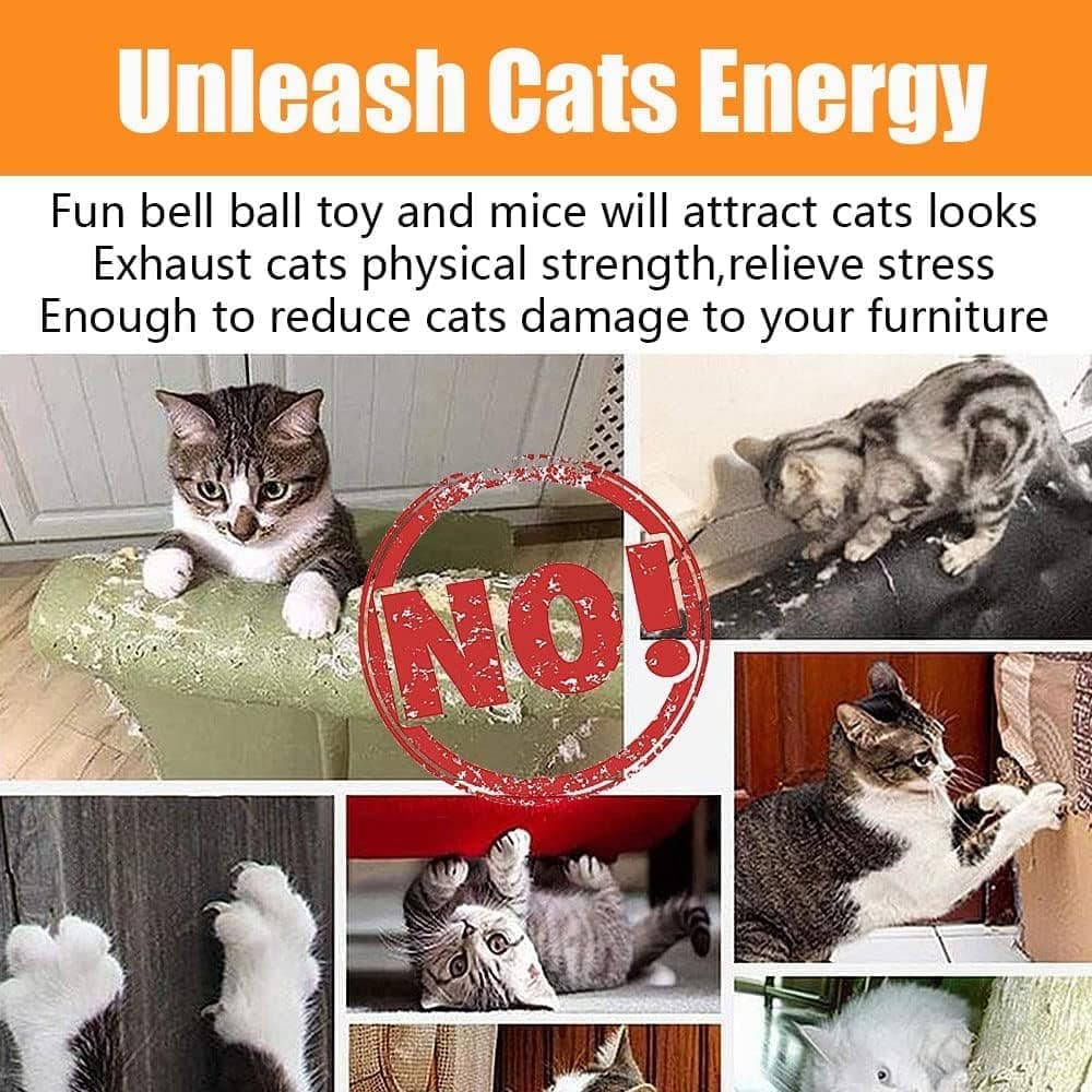 21 Piece Cat Toys for Kittens and Cats V1188-MS-325-0910
