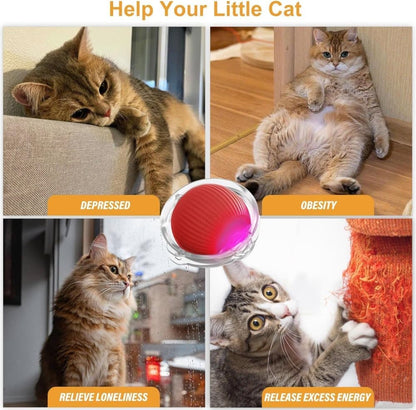 Interactive Cat Toy with Hideaway Cover and Self-Rolling Ball, USB Charging, Colorful, 1 Piece V1188-MS-325-1002