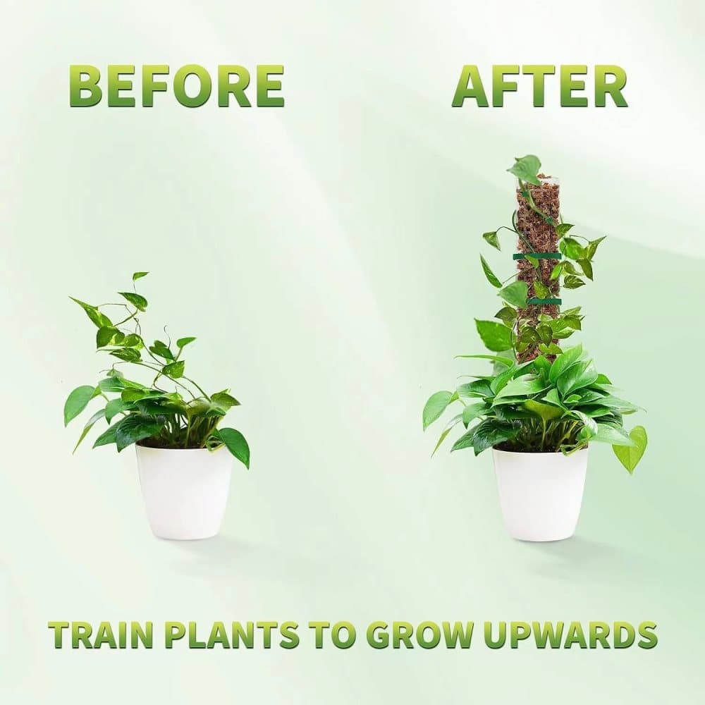 6 pcs Climbing Plant Moss Stakes with Garden Ties, Plastic, 10 Pack V1188-MS-325-1009