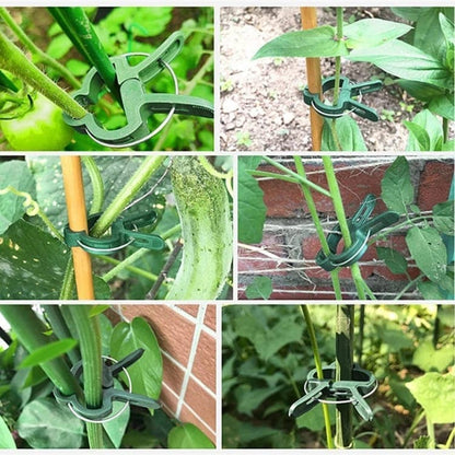 50-pack Plant Clamps for Trellis Support, 1.5 inch, 4.5cm x 6cm, Compatible with Plant Support Systems V1188-MS-325-1056