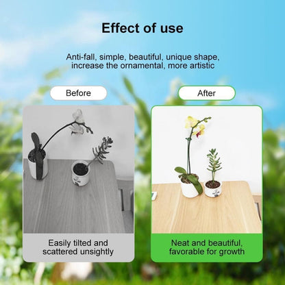 10-Pack Plant Support Flower Stakes for Potted Plants, 12 Inches V1188-MS-325-1144