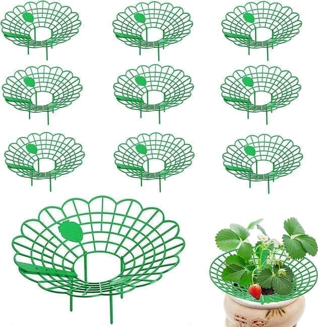 10-Pack Strawberry Holder Plant Support for Strawberries and Vegetables, 10.2 Inches V1188-MS-325-1228