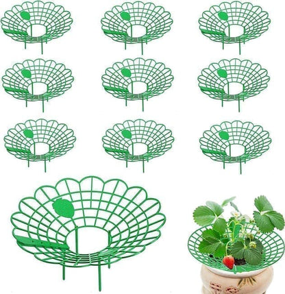 10-Pack Strawberry Holder Plant Support for Strawberries and Vegetables, 10.2 Inches V1188-MS-325-1228