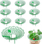 10-Pack Strawberry Holder Plant Support for Strawberries and Vegetables, 10.2 Inches V1188-MS-325-1228