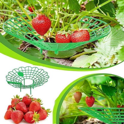 10-Pack Strawberry Holder Plant Support for Strawberries and Vegetables, 10.2 Inches V1188-MS-325-1228