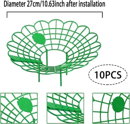 10-Pack Strawberry Holder Plant Support for Strawberries and Vegetables, 10.2 Inches V1188-MS-325-1228