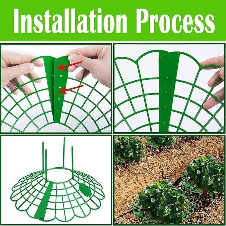 10-Pack Strawberry Holder Plant Support for Strawberries and Vegetables, 10.2 Inches V1188-MS-325-1228