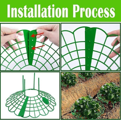 10-Pack Strawberry Holder Plant Support for Strawberries and Vegetables, 10.2 Inches V1188-MS-325-1228