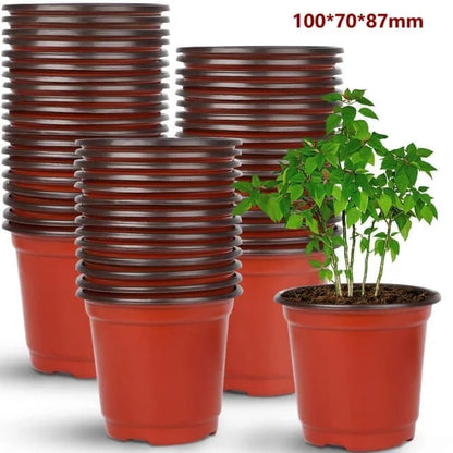 100pcs Reusable Plastic Planting Pots for Indoor and Outdoor Flower Growing, 100mm V1188-MS-325-1234