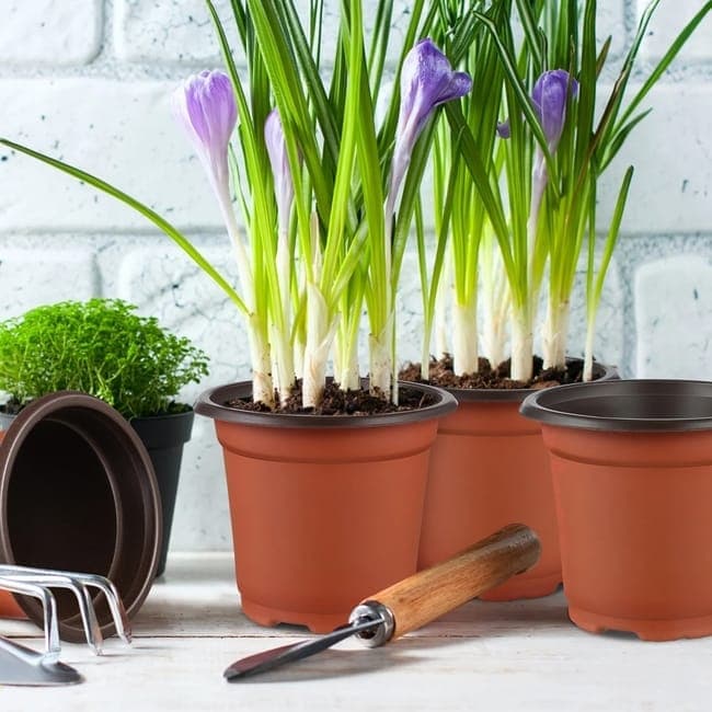 100pcs Reusable Plastic Planting Pots for Indoor and Outdoor Flower Growing, 110mm V1188-MS-325-1235