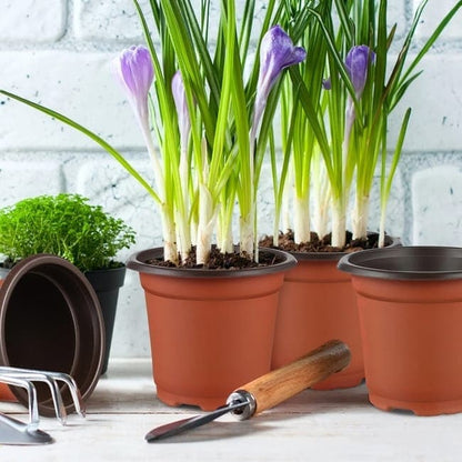 100pcs Reusable Plastic Planting Pots for Indoor and Outdoor Flower Growing, 90mm V1188-MS-325-1236