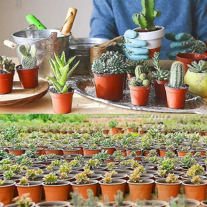 100pcs Reusable Plastic Planting Pots for Indoor and Outdoor Flower Growing, 90mm V1188-MS-325-1236