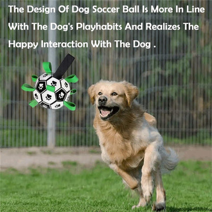 Durable Interactive Dog Ball with Air Needle, 15cm V1188-MS-325-1281