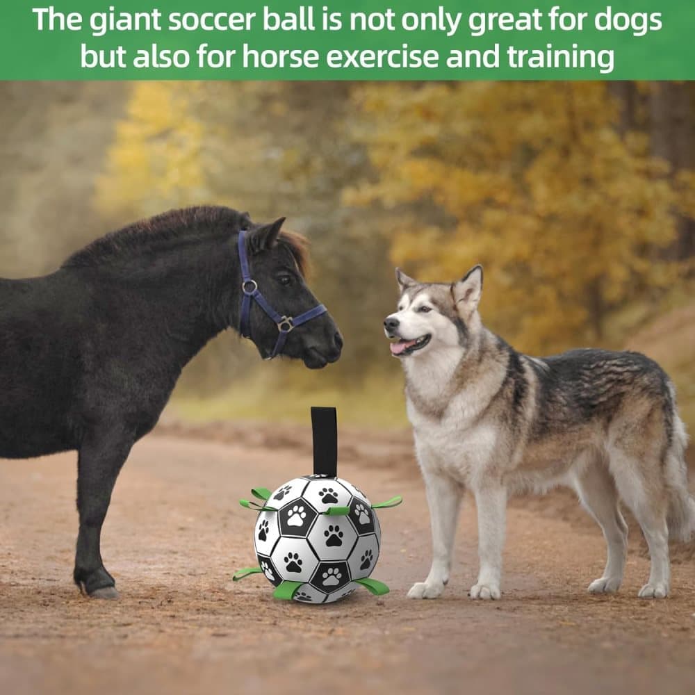 Durable Interactive Dog Ball with Air Needle, 15cm V1188-MS-325-1281