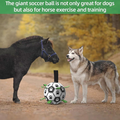 Durable Interactive Dog Ball with Air Needle, 15cm V1188-MS-325-1281