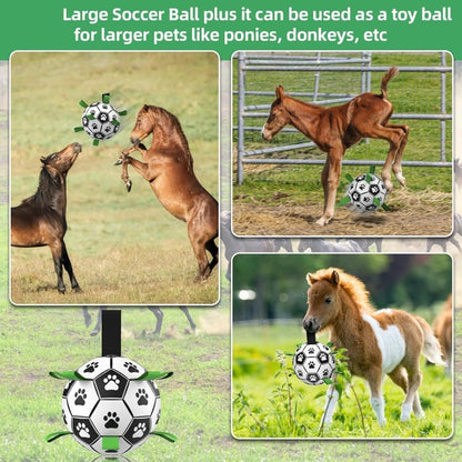 Durable Interactive Dog Ball with Air Needle, 15cm V1188-MS-325-1281