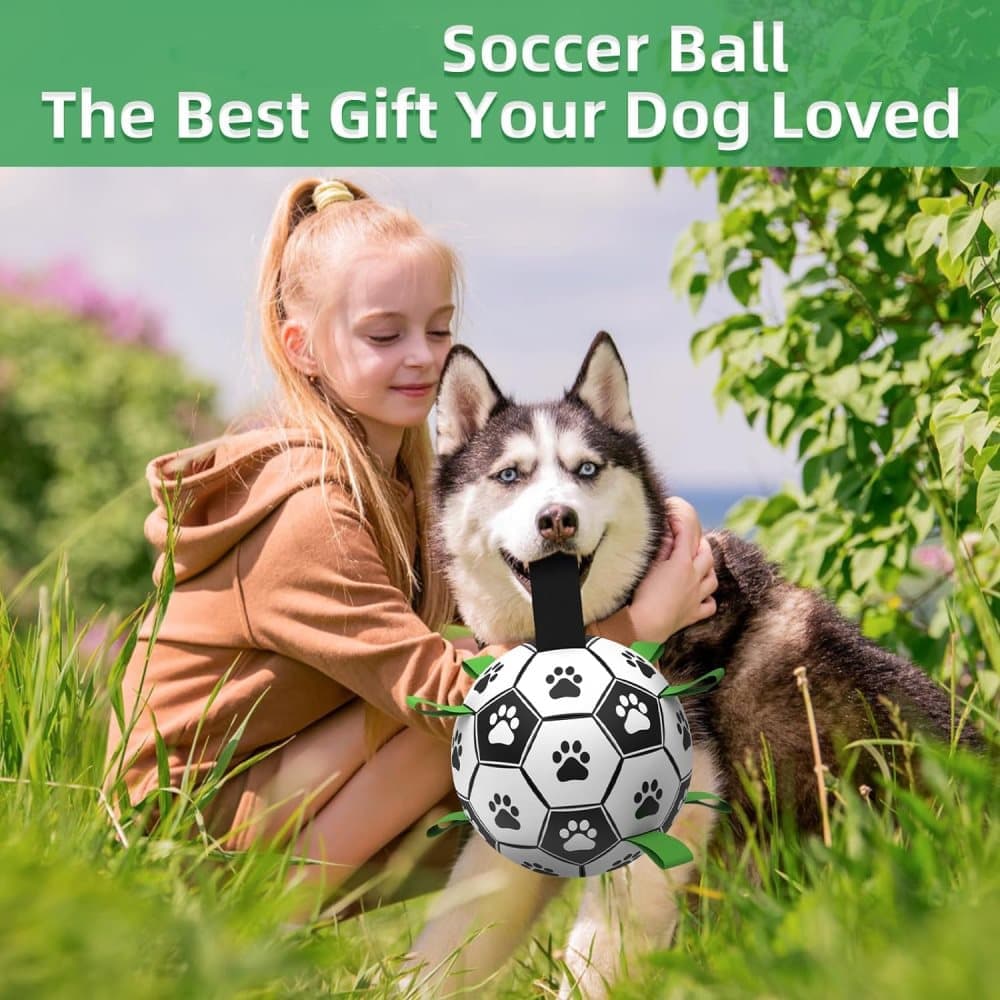 Durable Interactive Dog Ball with Air Needle, 15cm V1188-MS-325-1281
