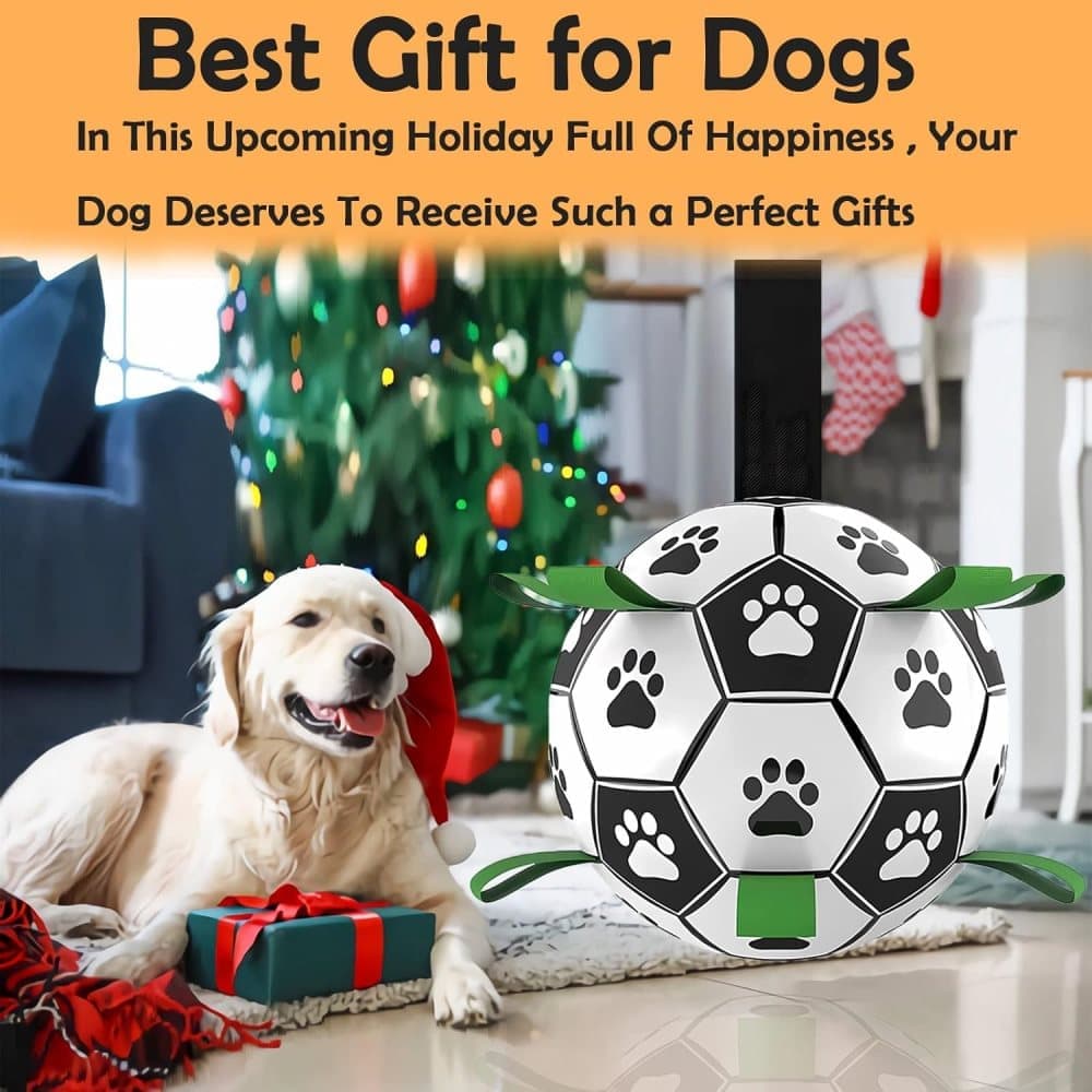 Durable Interactive Dog Ball with Air Needle, 15cm V1188-MS-325-1281