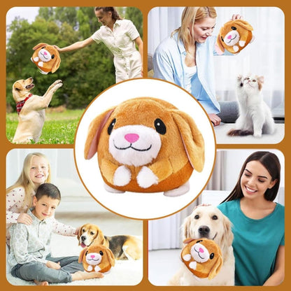 Interactive Plush Dog Toy for Training and Play, Durable Ball Design V1188-MS-325-1442