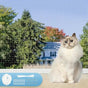 Cat protection net 1 pack, balcony and window safety net for cats, with Oral-B compatibility, 10X3M V1188-MS-325-1576