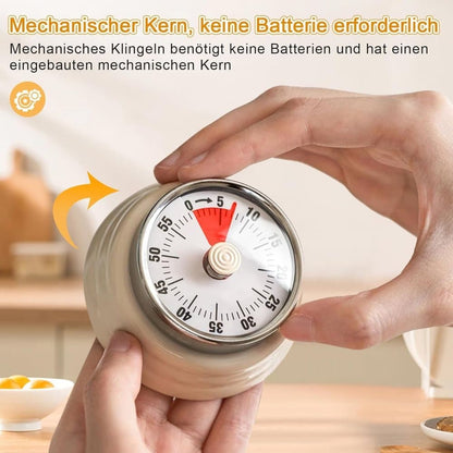 60 Minute Mechanical Kitchen Timer with Magnet, Stainless Steel Beige, 3.6 x 7.3cm V1188-MS-325-1616