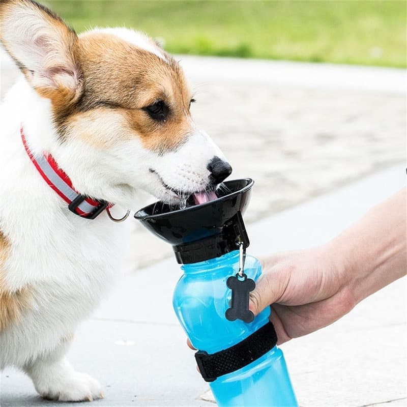 Portable Dog Water Bottle with Bowl 500ml, Blue, Compatible with Dogs V1188-MS-325-1687