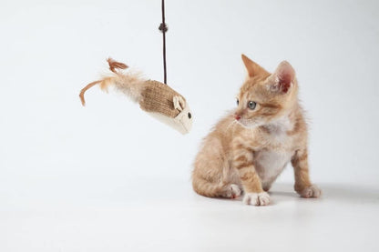 4 pcs Interactive Cat Toy with Bell and Teaser, for Playful Cats V1188-MS-325-1711