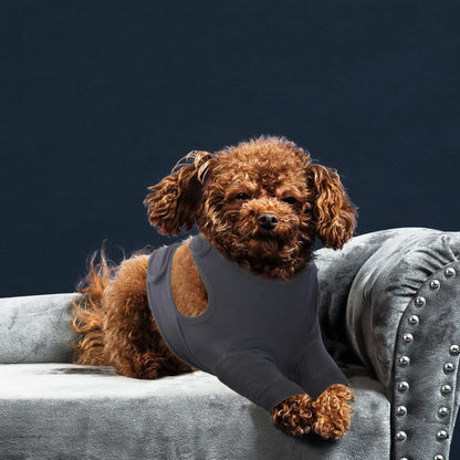 Elbow Protection for Dogs Breathable Elastic Post-Surgery Foreleg Guard Against Licking and Biting, XL, Dark V1188-MS-325-1725