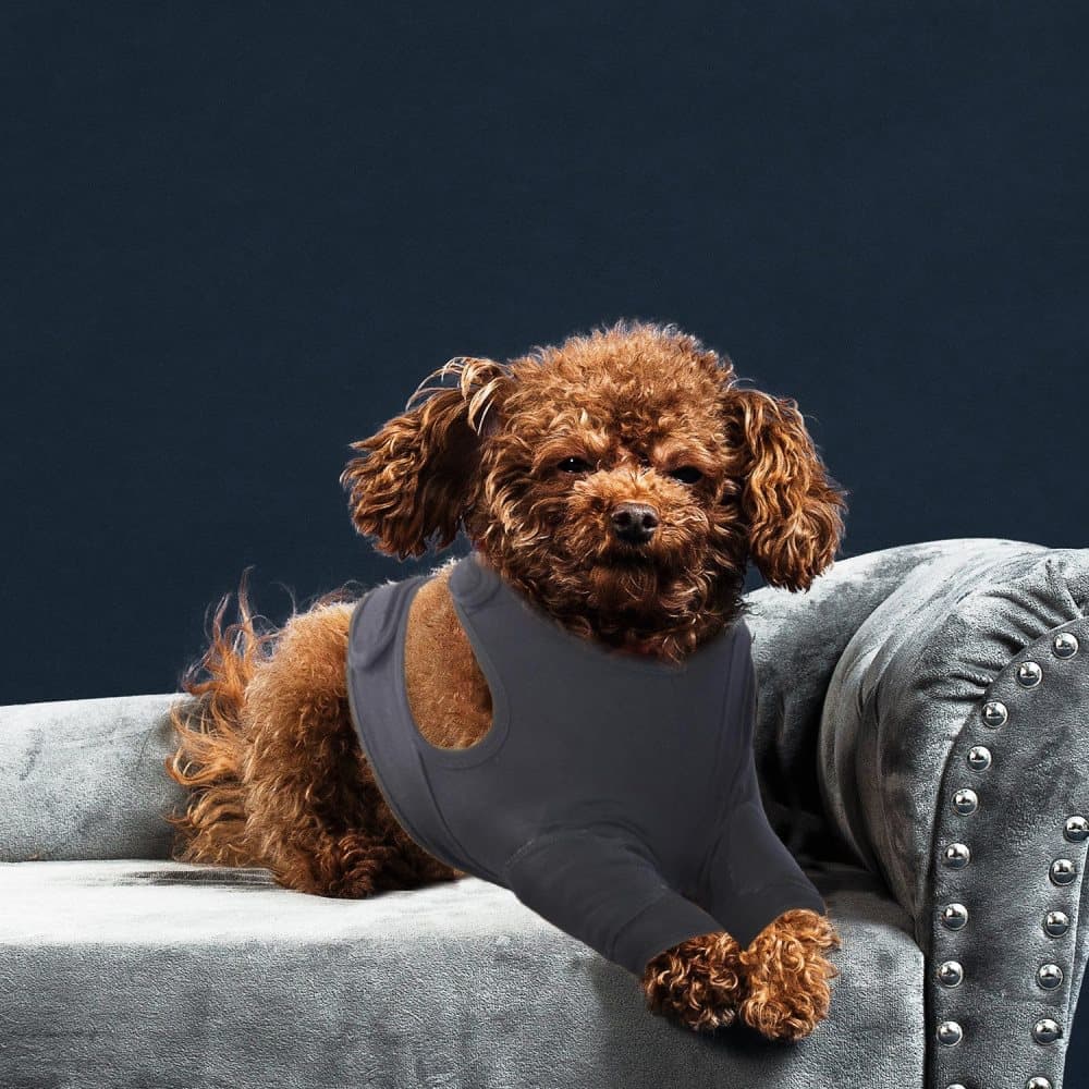 Breathable Elastic Dog Elbow Protection for Post-Surgery Foreleg, Prevents Licking and Biting, Light Gray, L V1188-MS-325-1727