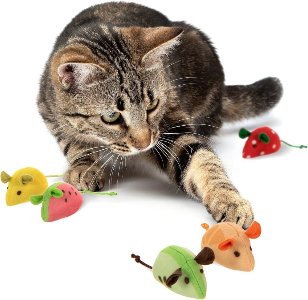 1 Pack Catnip Toy Fruit-Shaped Soft Plush for Cats, Stimulating Fun Play V1188-MS-325-1890