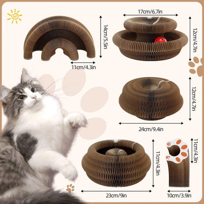 2-in-1 Cat Scratching Mat with Ball and Bell, Interactive Cat Toy, Magnetic Design, Compatible with All Cats, V1188-MS-325-1913