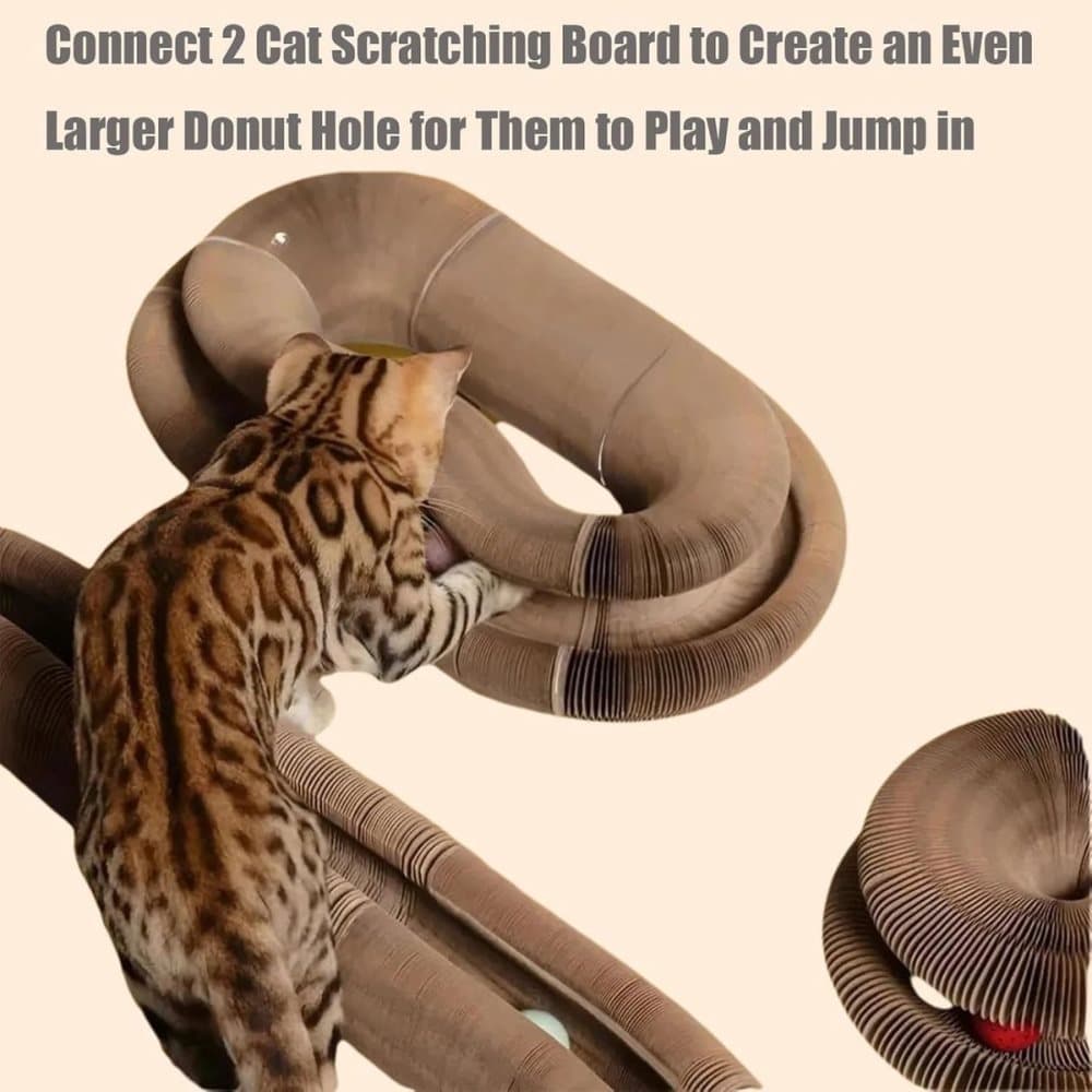2-in-1 Cat Scratching Mat with Ball and Bell, Interactive Cat Toy, Magnetic Design, Compatible with All Cats, V1188-MS-325-1913