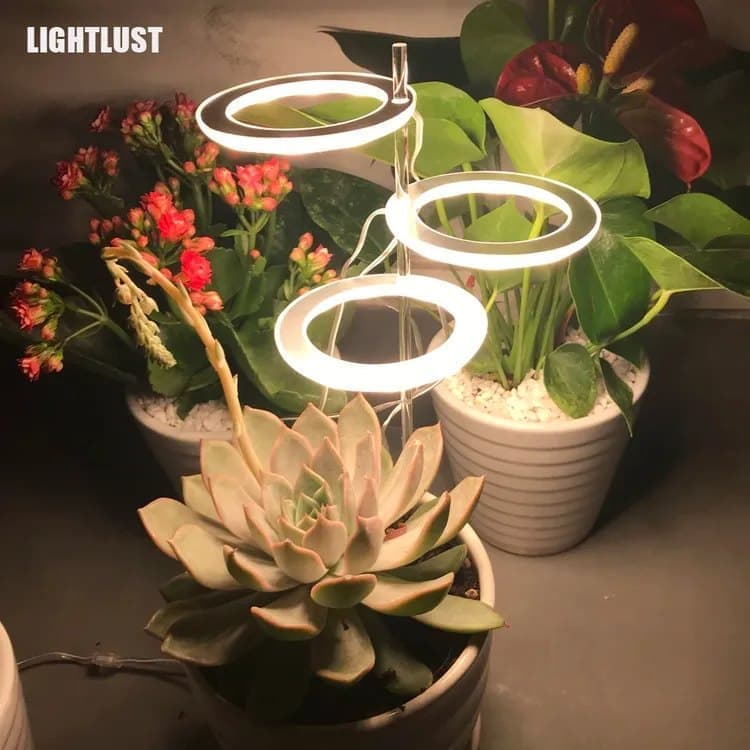 2 pcs LED Grow Light 4000K Full Spectrum with Timer, Adjustable USB Plant Lighting for Small Plants, Beige V1188-MS-325-1942