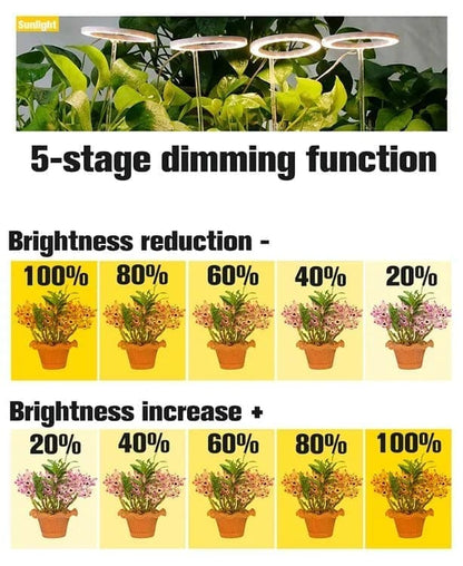 2 pcs LED Grow Light 4000K Full Spectrum with Timer, Adjustable USB Plant Lighting for Small Plants, Beige V1188-MS-325-1942