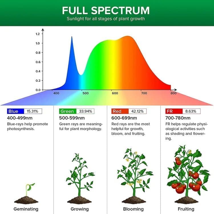 2 pcs LED Grow Light 4000K Full Spectrum with Timer, Adjustable USB Plant Lighting for Small Plants, Beige V1188-MS-325-1942
