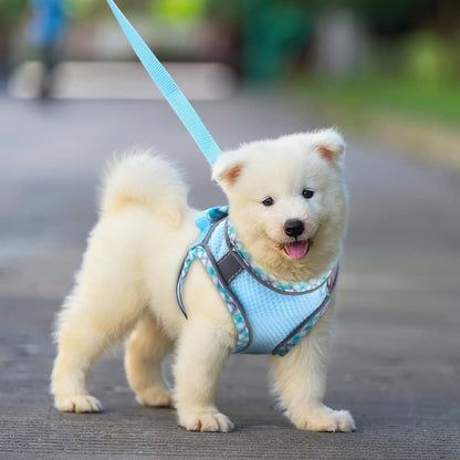 1 Adjustable Pet Harness with Reflector and Leash for Cat and Dog, Soft Comfortable Vest Anti-Escape, XXS, V1188-MS-325-2041