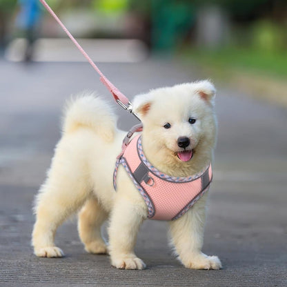 Adjustable Pet Harness with Reflector and Leash for Cats and Dogs, Soft Comfortable Vest Anti-Escape, XXS V1188-MS-325-2042