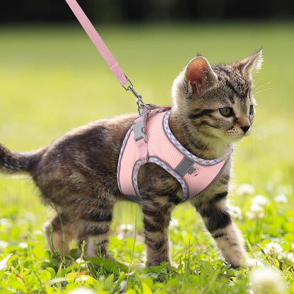 Adjustable Pet Harness with Reflector and Leash for Cat and Dogs, Soft Comfortable Vest Design Anti-Escape, V1188-MS-325-2048