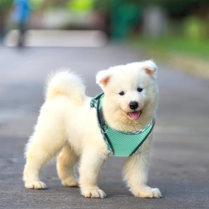 Adjustable Pet Harness with Reflector and Leash for Cat and Dog, Soft Comfortable Vest Design Anti-Escape, M, V1188-MS-325-2054