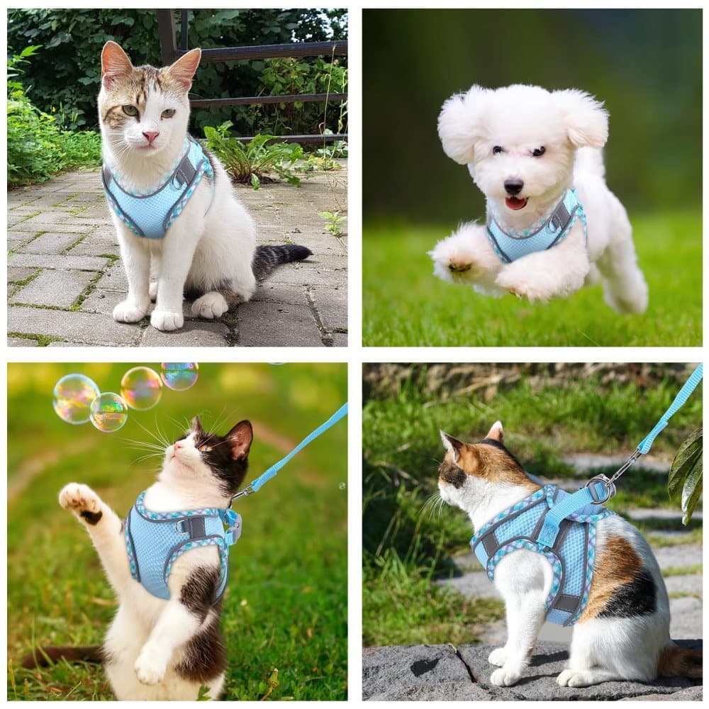 Adjustable Pet Harness with Reflector and Leash for Cat and Dog, Soft Comfortable Vest Design Anti-Escape, V1188-MS-325-2061