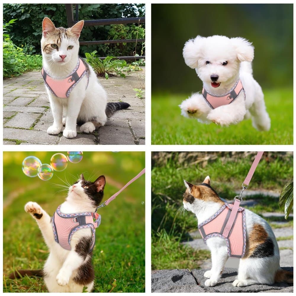 Adjustable Pet Harness with Reflector and Leash for Cat and Dog, Soft Comfortable Vest Design Anti-Escape, XS V1188-MS-325-2063