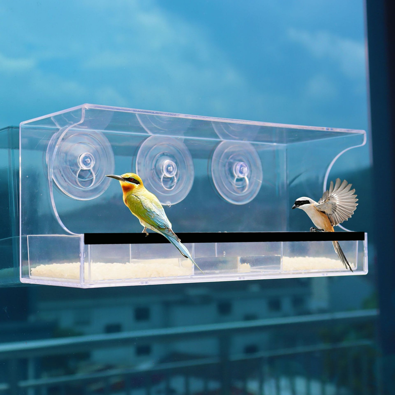 Automatic Transparent Bird Feeder (Acrylic) Size: 300*100*130mm Color: Transparent for Birds Balcony Mount V1188-MS-424-0002