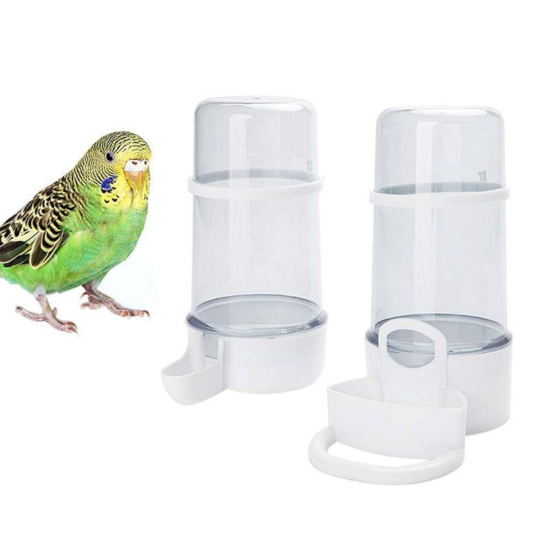 Automatic Water Dispenser (Plastic) 220ML Capacity Size: 130*85mm Color: Green/Transparent for Parrots (1pc) V1188-MS-424-0015