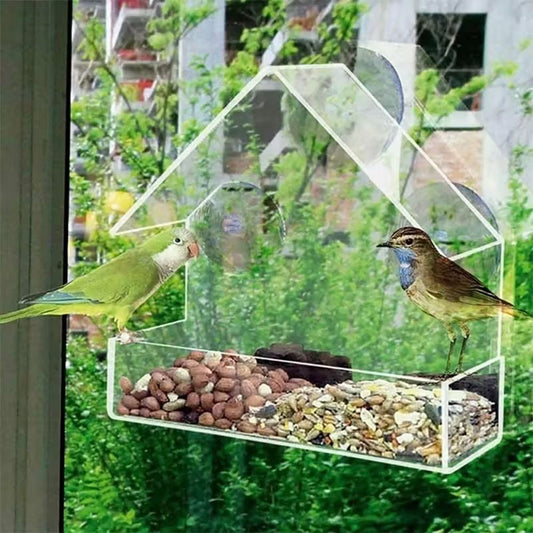 Transparent Bird Feeder (PS) Size: 150*60*150mm Color: Transparent for Birds Outdoor Use (1pc) V1188-MS-424-0023