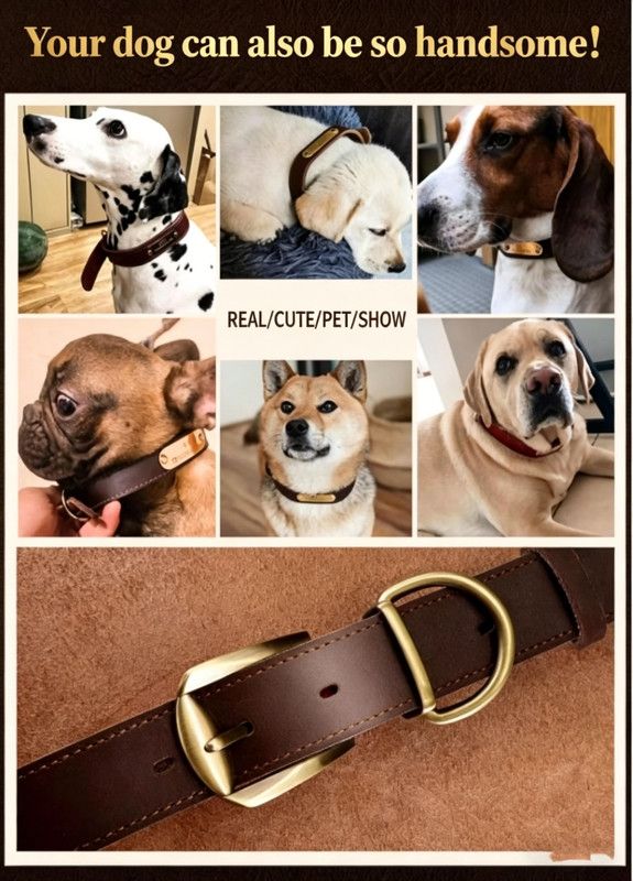 Premium Genuine Leather Dog Collar/Durable Real Leather Adjustable Collars For Male Female(XS,Dark brown) V1188-MS-430-1674